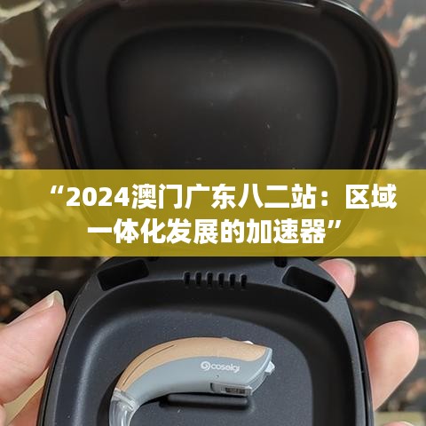 “2024澳门广东八二站：区域一体化发展的加速器”