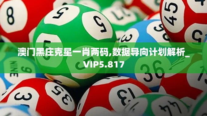 澳门黑庄克星一肖两码,数据导向计划解析_VIP5.817