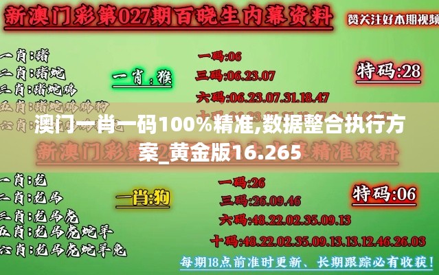 澳门一肖一码100%精准,数据整合执行方案_黄金版16.265